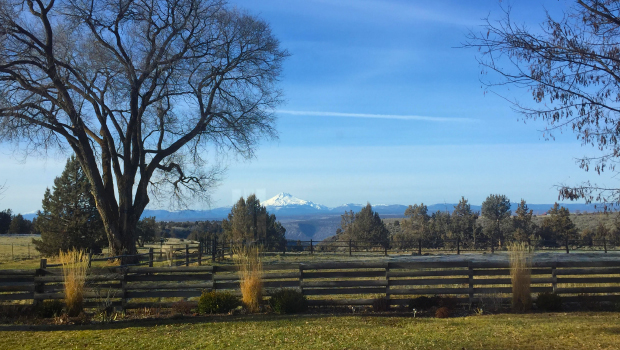 Photograph of a rural setting